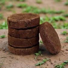 Cow Dung (Cake & powder)